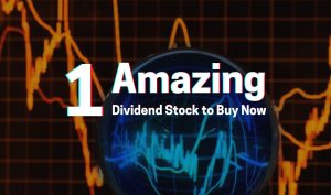one amazing dividend stock to buy now