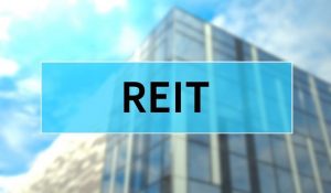 why do reits have high dividend payout ratios