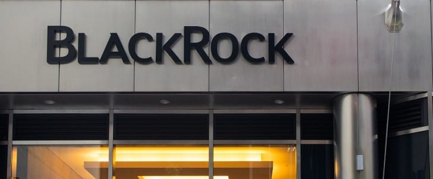 The BlackRock Diversified Dividend Fund: Our Analysis and Rating (MDDVX)